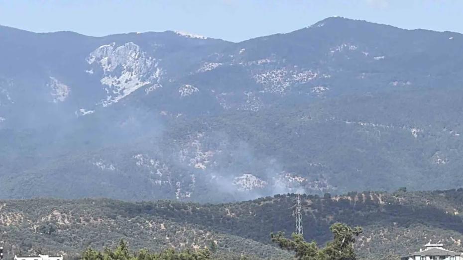 Kazdağı Milli Parkı'ndaki Orman Yangını Kontrol Altında
