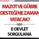 Dizel Gübre Desteğinin Ödeme Tarihi ve 2025 Gün Mart | Dizel ve gübrelerin desteği yatağa gittiğinde uyuyacak, bu ay verilecek mi? 3 milyar TL ödeme! Tarım Bakanlığı ve Destek Soruşturma Destek Ormanı (e-devlet) ekranı!