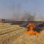 Mardin Extinto’ya Stuti ve Orman Ateşi