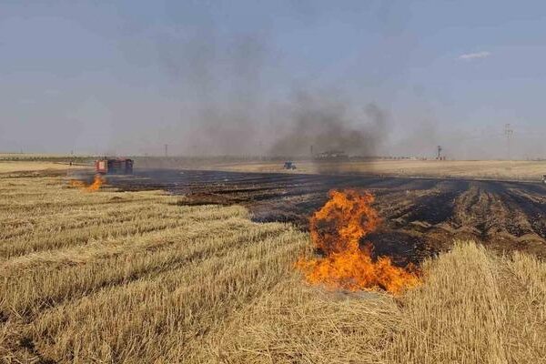 Mardin Extinto’ya Stuti ve Orman Ateşi