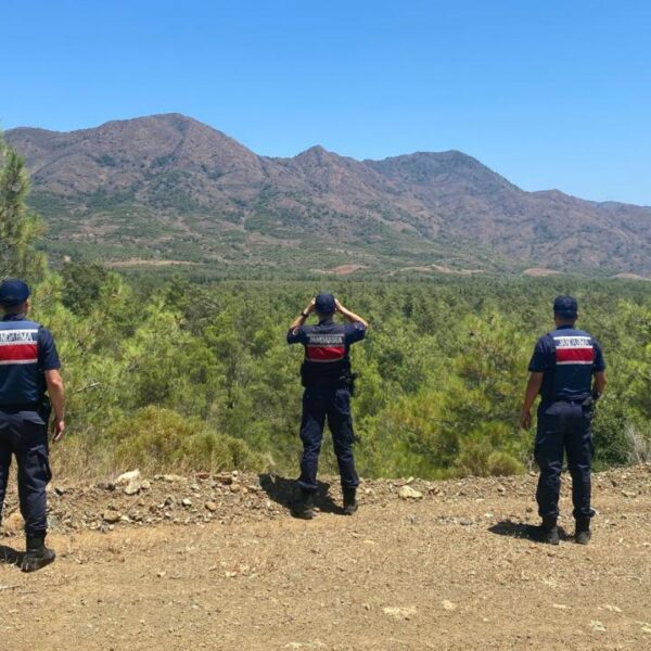 İdari prosedürler Datça’da orman alanında yetkilendirilmeden uygulanmıştır.