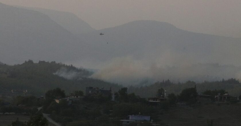 Adana’da orman yangını kontrol altında