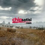 Zynga Poker Chip İhtiyaçlarınızda 7/24 Güvenilir Çözüm