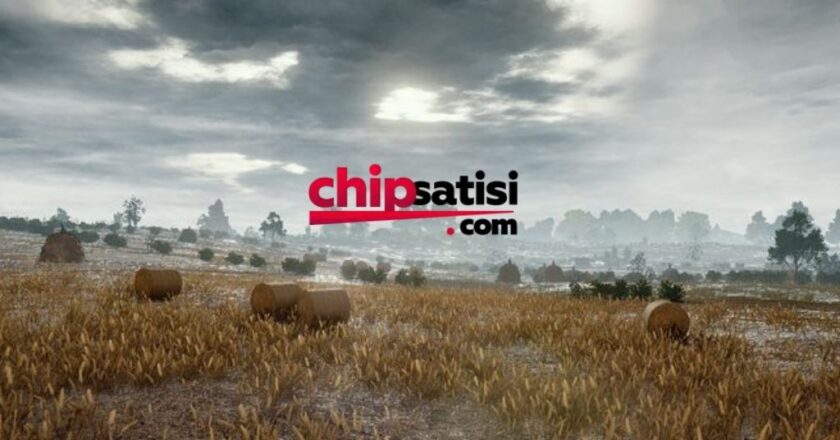 Zynga Poker Chip İhtiyaçlarınızda 7/24 Güvenilir Çözüm