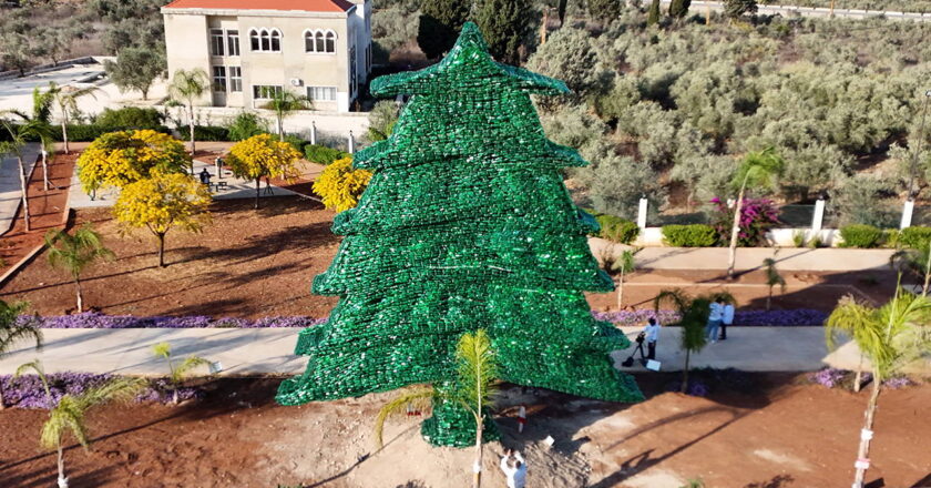 Dünyanın en büyük plastik sedir ağacını yaptı: Guinness Rekorlar Kitabı’na girdi – Son Dakika Hayat Haberleri